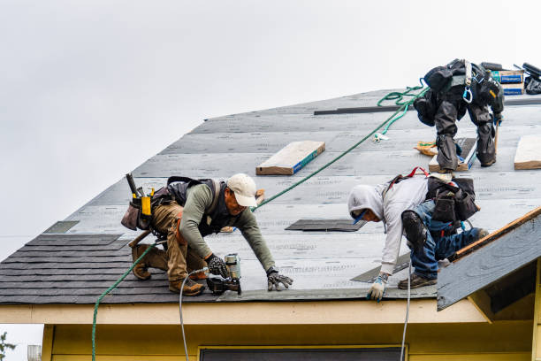 Professional Roofing technician working in Blue Point, NY
